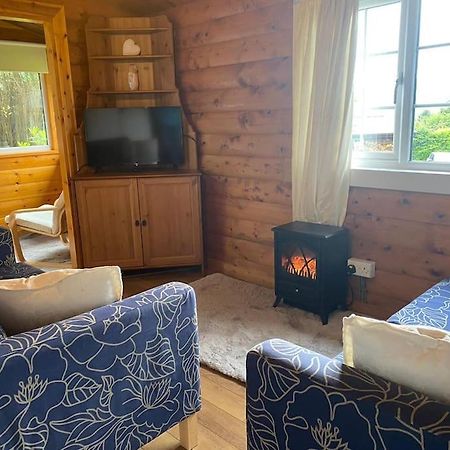 فيلا Trawsfynyddفي Cabin المظهر الخارجي الصورة