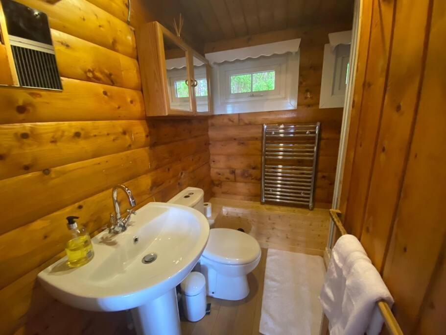 فيلا Trawsfynyddفي Cabin المظهر الخارجي الصورة