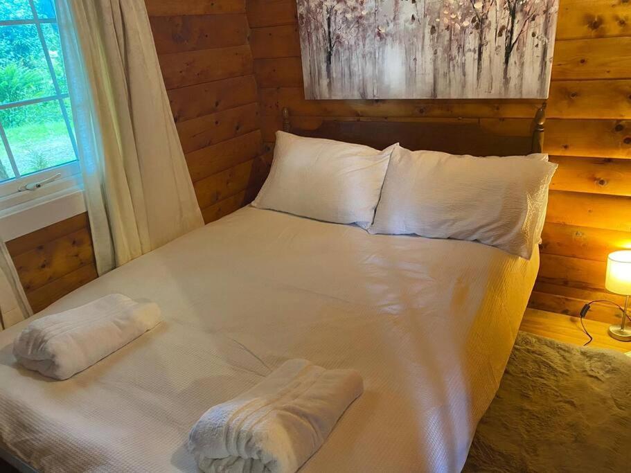 فيلا Trawsfynyddفي Cabin المظهر الخارجي الصورة